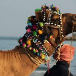 Persian Gulf Escape: Top 5 Destinations