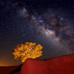 A night in desert and watching stars